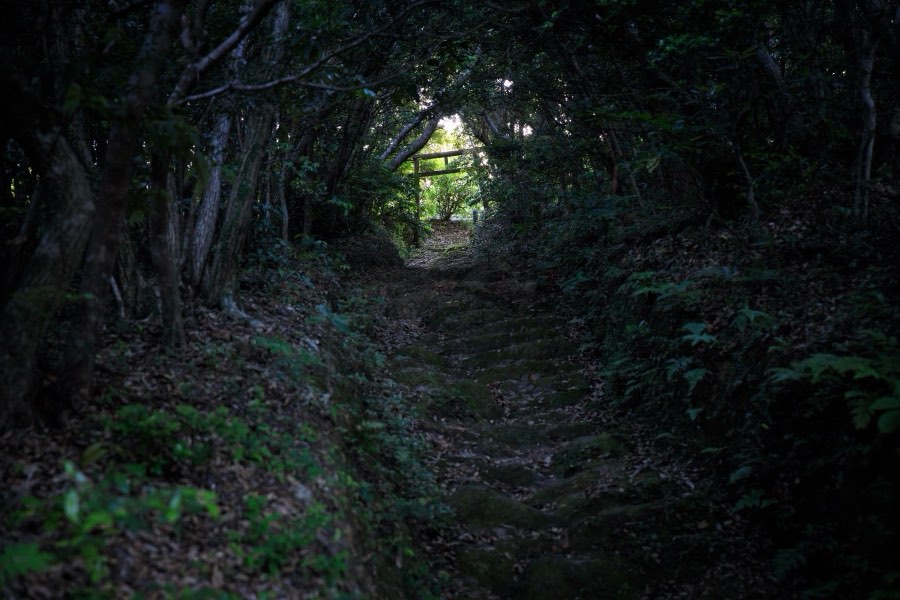 Kagoshima, Printemps 2018, Japon. Photographie de Jordy Meow, 286/289