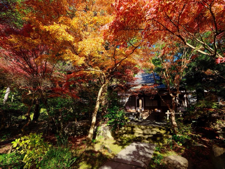 Kanagawa, Hiver 2021, Japon. Photographie de Jordy Meow, 82/116