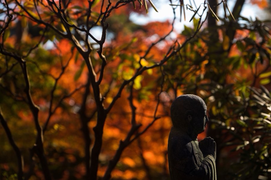 Kanagawa, Automne 2017, Japon. Photographie de Jordy Meow, 120/302