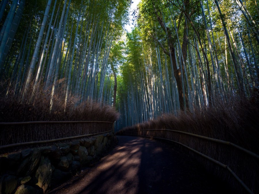 Kyoto, Printemps 2020, Japon. Photographie de Jordy Meow, 167/289
