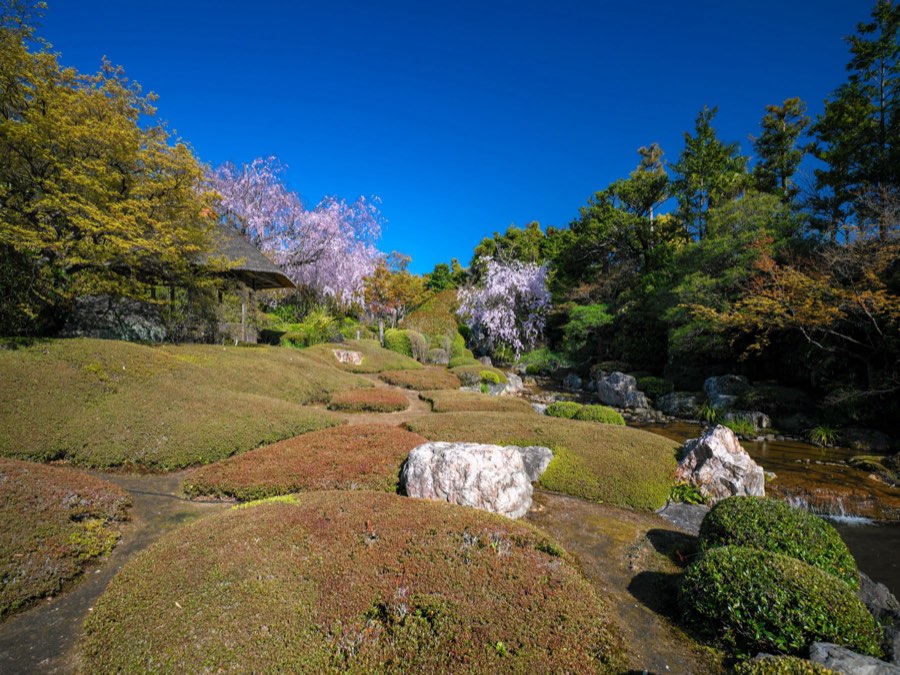 Kyoto, Printemps 2020, Japon. Photographie de Jordy Meow, 170/289