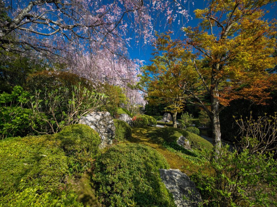 Kyoto, Printemps 2020, Japon. Photographie de Jordy Meow, 171/289