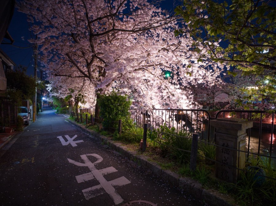 Kyoto, Printemps 2020, Japon. Photographie de Jordy Meow, 173/289