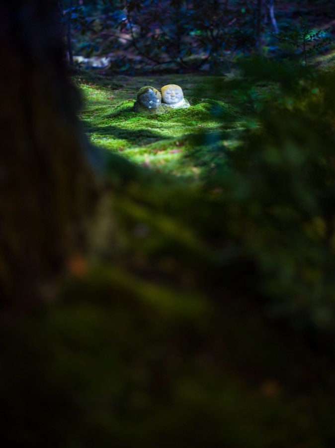 Kyoto, Automne 2019, Japon. Photographie de Jordy Meow, 206/302