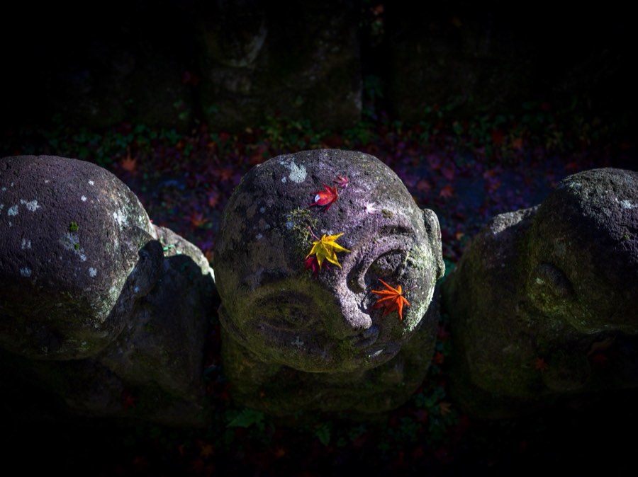 Kyoto, Automne 2019, Japon. Photographie de Jordy Meow, 208/302