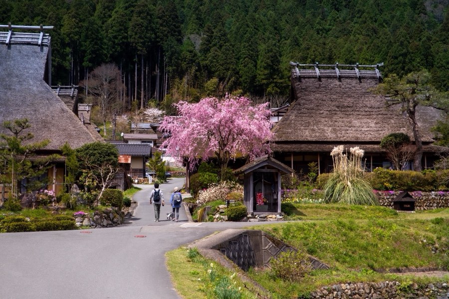 Kyoto, Printemps 2019, Japon. Photographie de Jordy Meow, 176/289