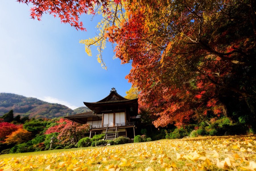 Kyoto, Automne 2014, Japon. Photographie de Jordy Meow, 210/302