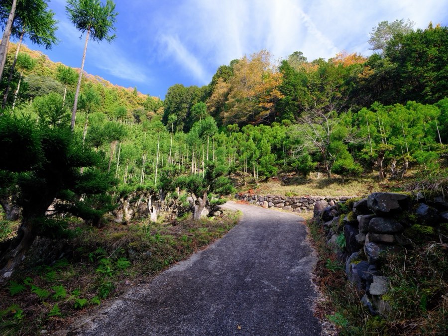 Kyoto, Automne 2022, Japon. Photographie de Jordy Meow, 211/302