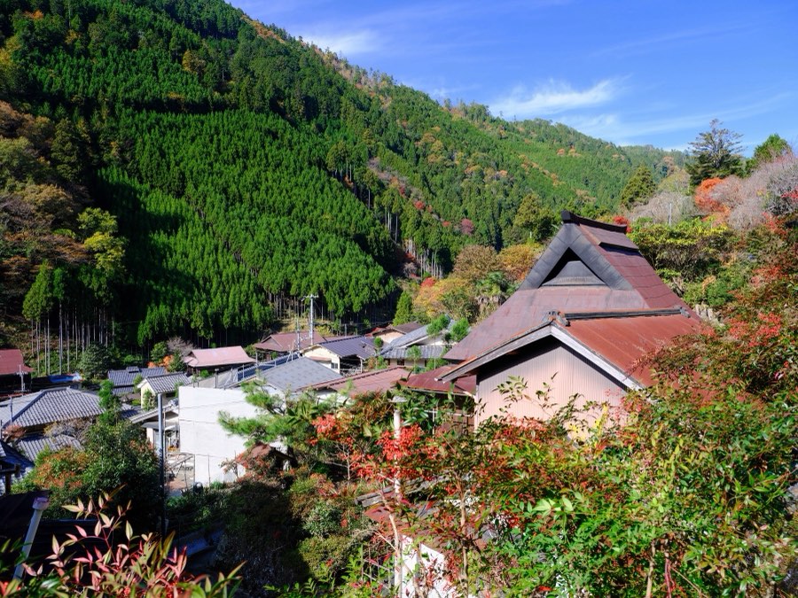 Kyoto, Automne 2022, Japon. Photographie de Jordy Meow, 212/302