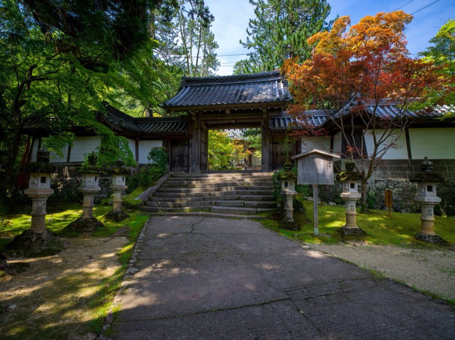 Kyoto, Été 2020, Japon. Photographie de Jordy Meow, 118/229