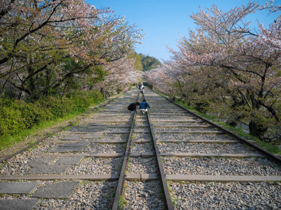 Kyoto, Printemps 2020, Japon. Photographie de Jordy Meow, 178/289
