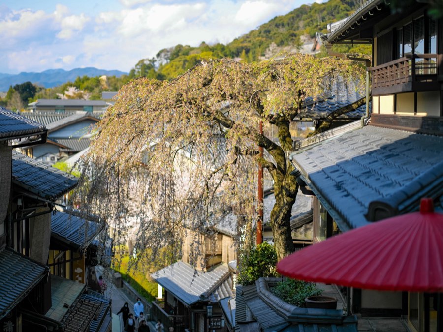 Kyoto, Printemps 2020, Japon. Photographie de Jordy Meow, 179/289