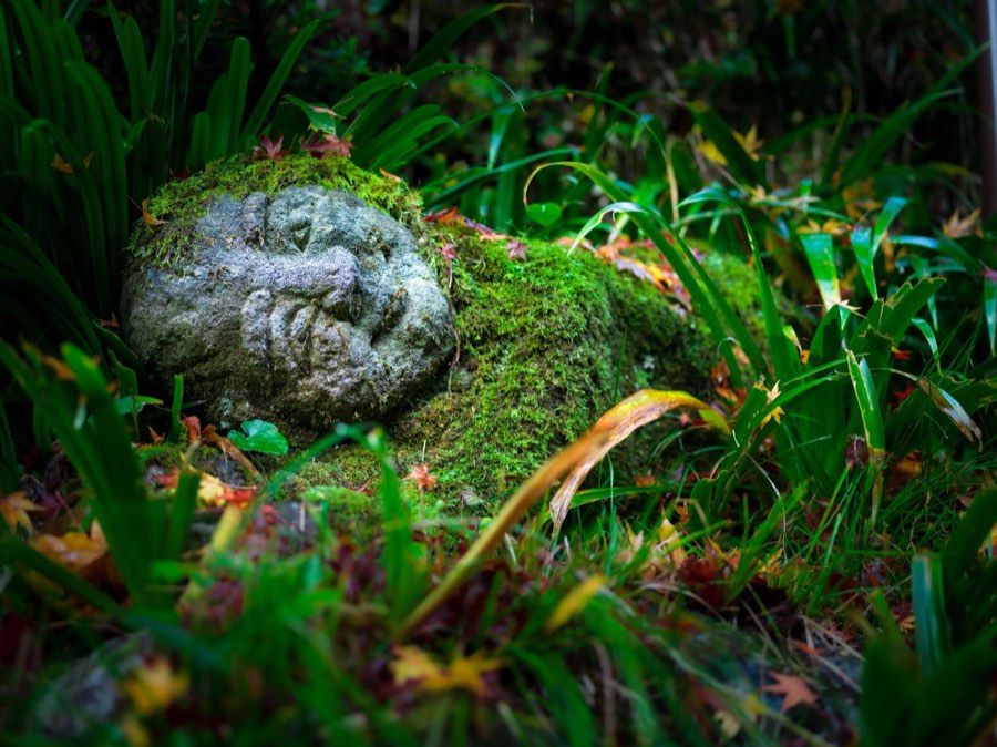 Kyoto, Automne 2019, Japon. Photographie de Jordy Meow, 213/302