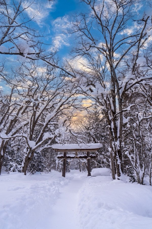 Nagano, Hiver 2025, Japon. Photographie de Jordy Meow, 89/116