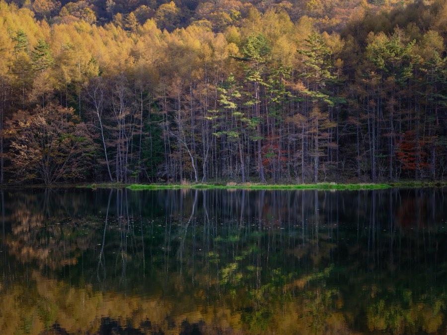 Nagano, Automne 2022, Japon. Photographie de Jordy Meow, 155/302