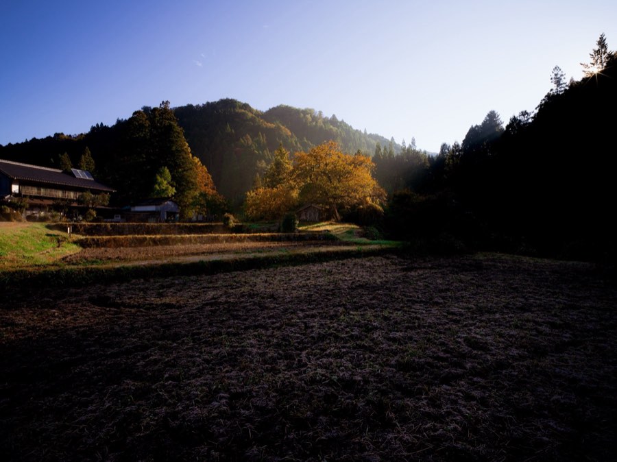 Nagano, Automne 2019, Japon. Photographie de Jordy Meow, 156/302