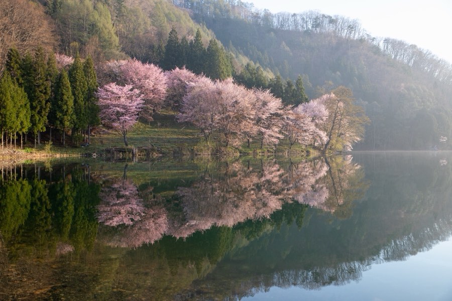 Nagano, Printemps 2019, Japon. Photographie de Jordy Meow, 123/289