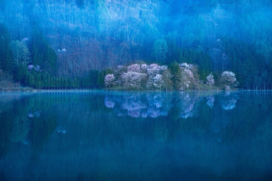 Nagano, Printemps 2019, Japon. Photographie de Jordy Meow, 124/289