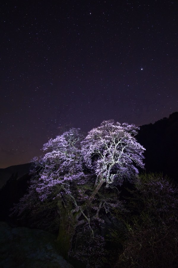 Nagano, Printemps 2017, Japon. Photographie de Jordy Meow, 126/289
