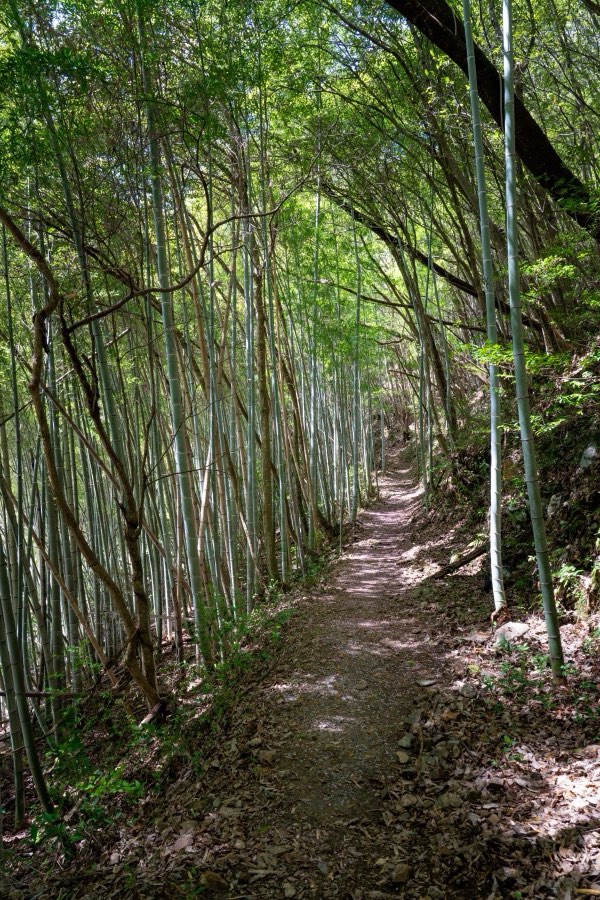 Nagano, Printemps 2026, Japon. Photographie de Jordy Meow, 128/289