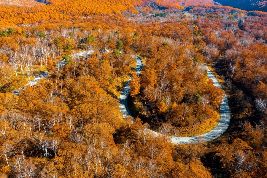 Nagano, Automne 2021, Japon. Photographie de Jordy Meow, 163/302