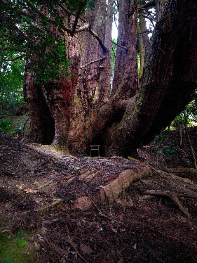 Nara, Automne 2022, Japon. Photographie de Jordy Meow, 225/302