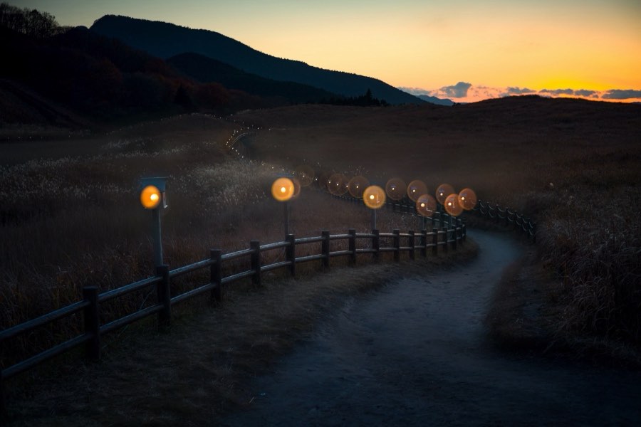 Nara, Automne 2016, Japon. Photographie de Jordy Meow, 228/302
