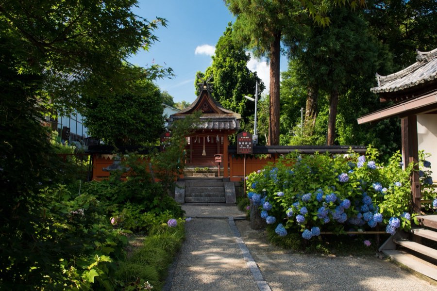 Nara, Été 2016, Japon. Photographie de Jordy Meow, 123/229