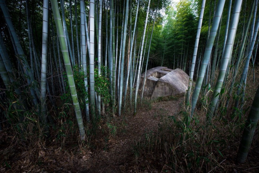 Nara, Hiver 2016, Japon. Photographie de Jordy Meow, 105/116