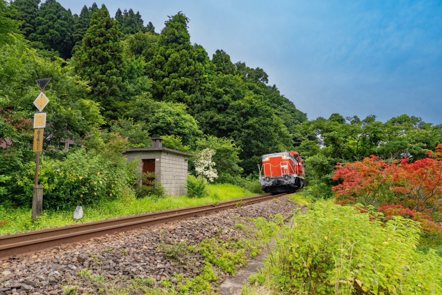 Niigata, Été 2026, Japon. Photographie de Jordy Meow, 82/229