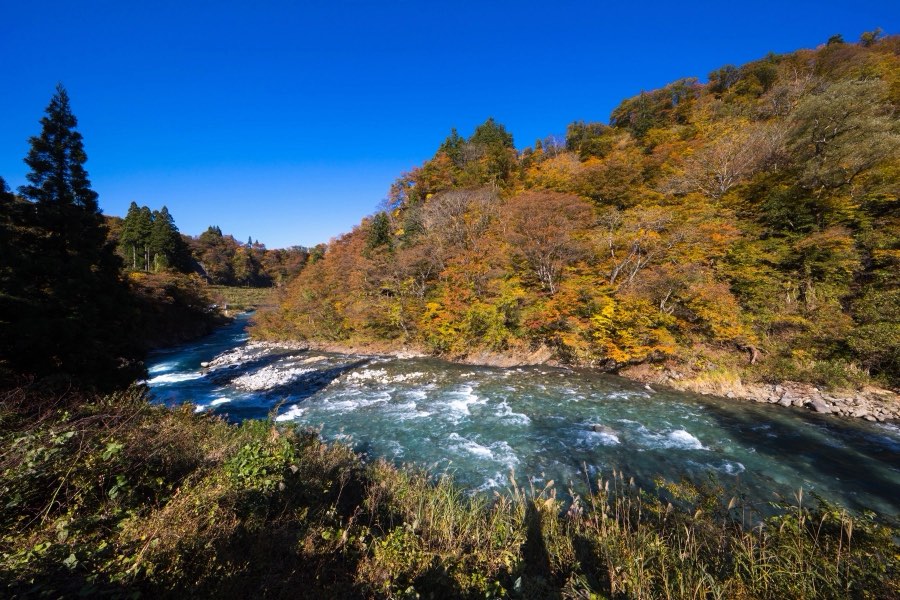 Niigata, Automne 2017, Japon. Photographie de Jordy Meow, 128/302