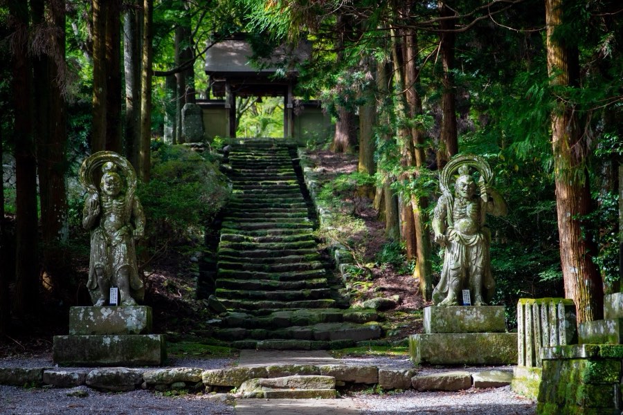Oita, Automne 2019, Japon. Photographie de Jordy Meow, 285/302