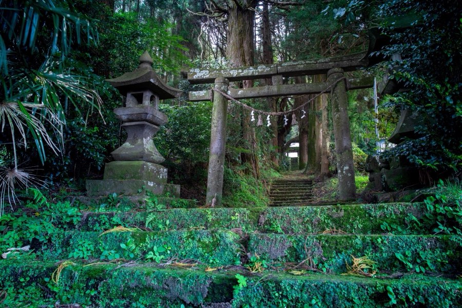 Oita, Automne 2019, Japon. Photographie de Jordy Meow, 286/302