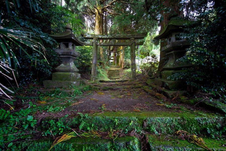 Oita, Automne 2019, Japon. Photographie de Jordy Meow, 287/302