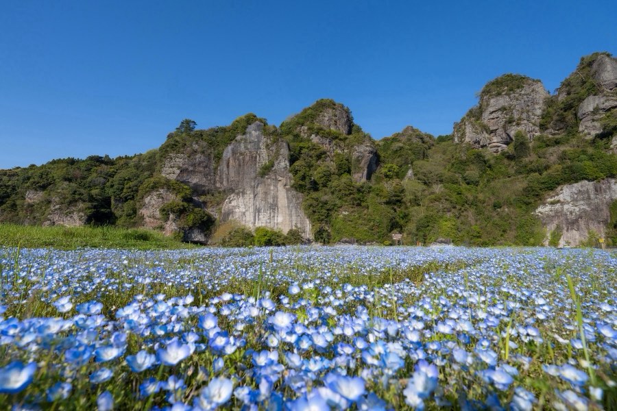 Oita, Printemps 2024, Japon. Photographie de Jordy Meow, 269/289
