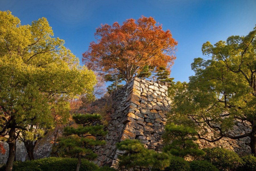 Okayama, Automne 2018, Japon. Photographie de Jordy Meow, 250/302