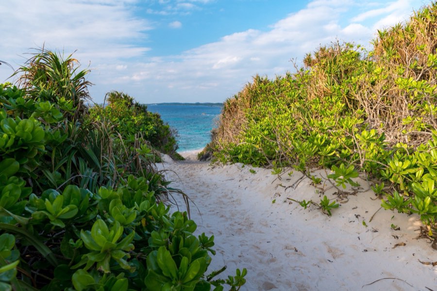 Okinawa, Automne 2012, Japon. Photographie de Jordy Meow, 292/302
