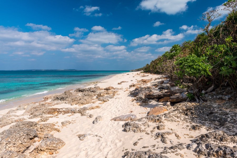 Okinawa, Automne 2012, Japon. Photographie de Jordy Meow, 300/302