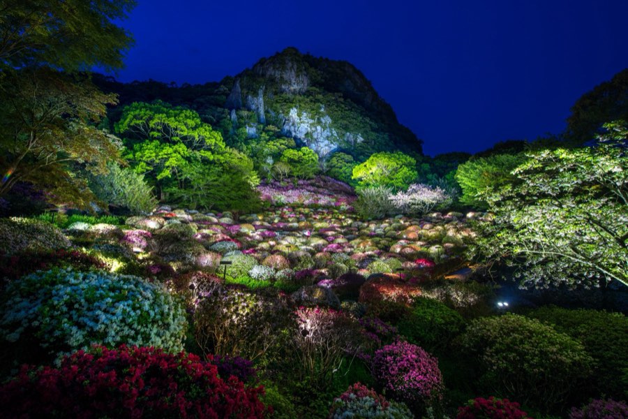 Saga, Printemps 2016, Japon. Photographie de Jordy Meow, 241/289