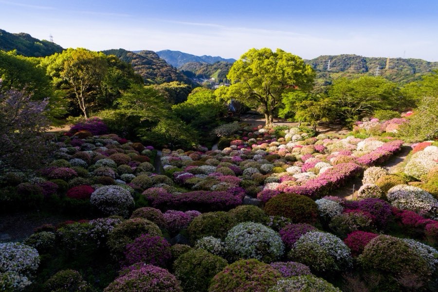 Saga, Printemps 2016, Japon. Photographie de Jordy Meow, 244/289