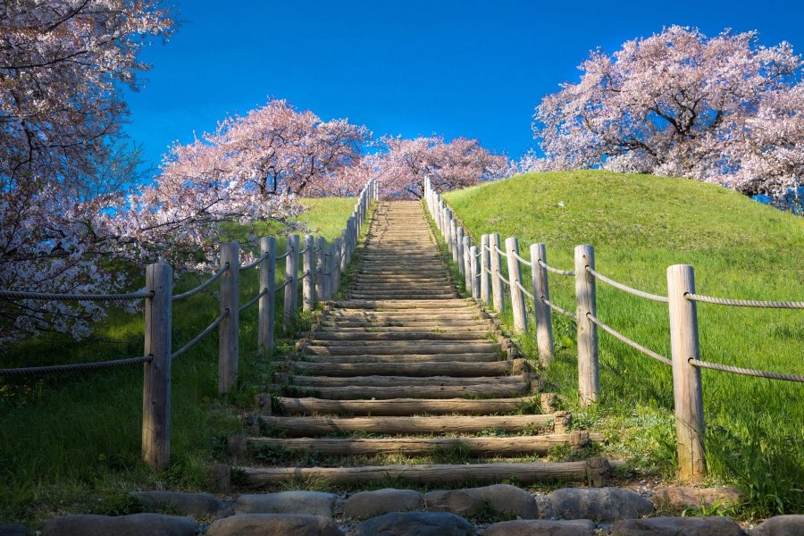 Saitama, Printemps 2017, Japon. Photographie de Jordy Meow, 65/289