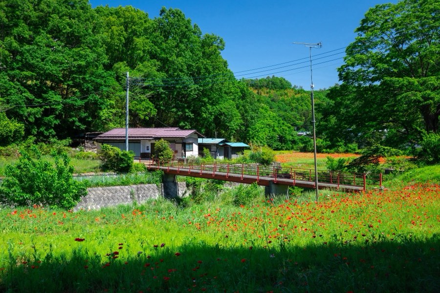 Saitama, Printemps 2019, Japon. Photographie de Jordy Meow, 67/289