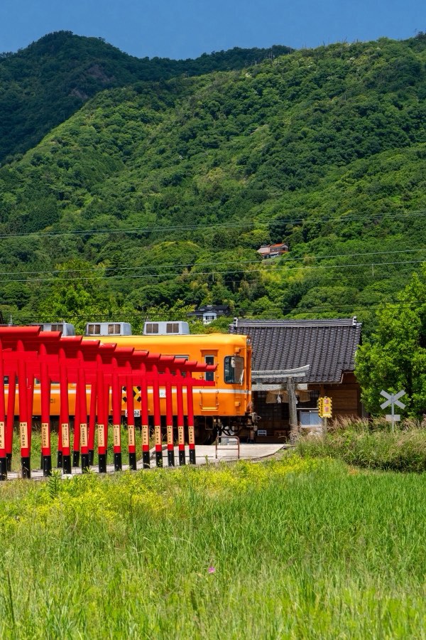 Shimane, Printemps 2026, Japon. Photographie de Jordy Meow, 193/289