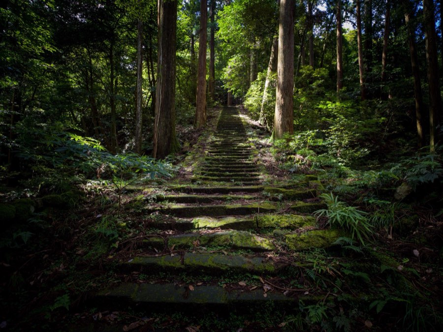 Shimane, Été 2020, Japon. Photographie de Jordy Meow, 132/229