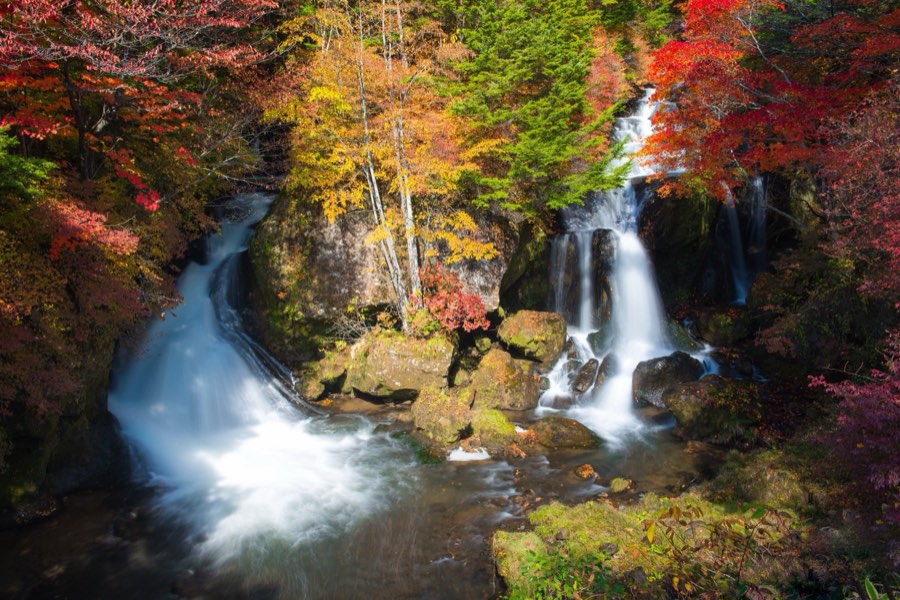 Tochigi, Automne 2012, Japon. Photographie de Jordy Meow, 79/302