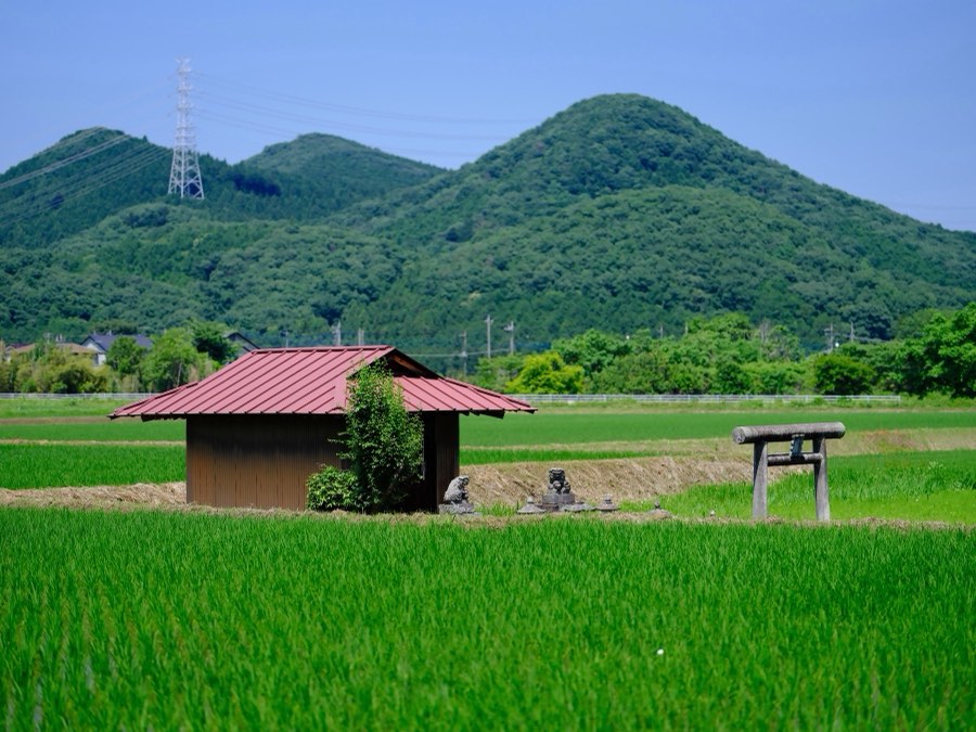 Tochigi, Été 2021, Japon. Photographie de Jordy Meow, 57/229
