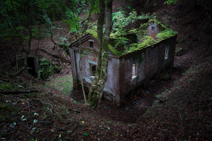 Tochigi, Été 2018, Japon. Photographie de Jordy Meow, 59/229