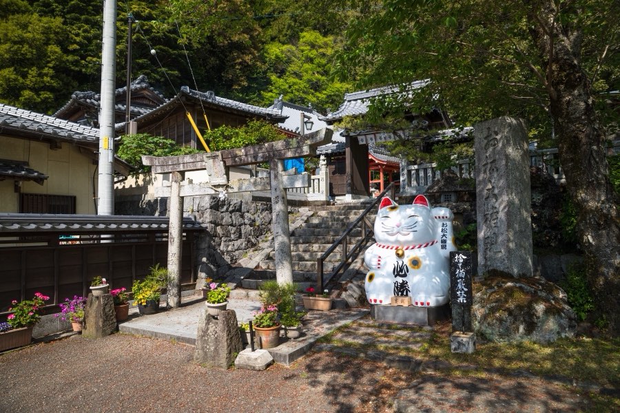 Tokushima, Printemps 2019, Japon. Photographie de Jordy Meow, 210/289
