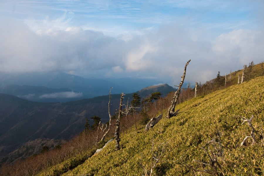 Tokushima, Automne 2015, Japon. Photographie de Jordy Meow, 264/302