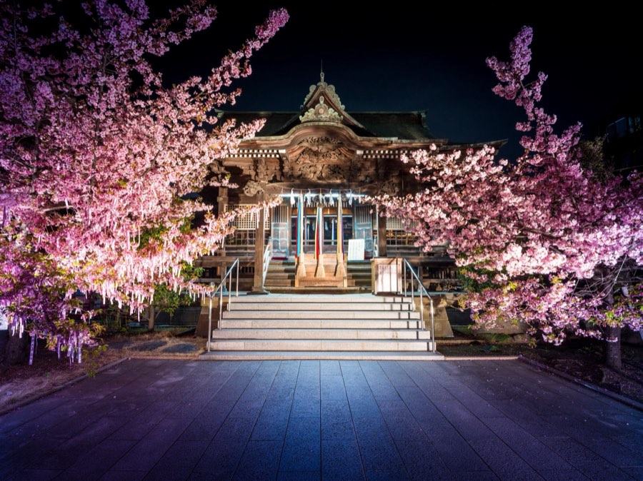 Tokyo, Printemps 2020, Japon. Photographie de Jordy Meow, 79/289
